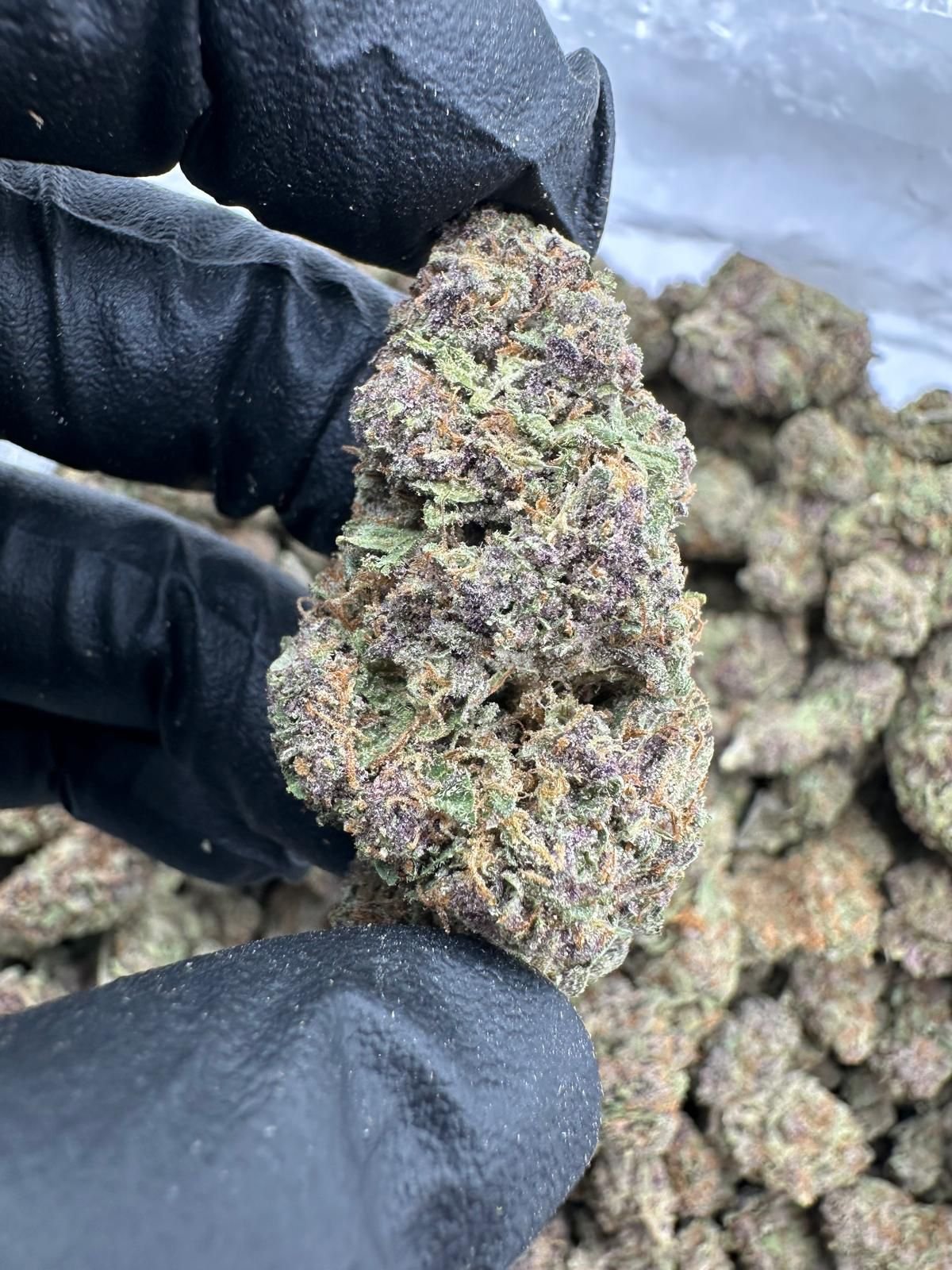 Temptation | Hybrid | 28% THCa - Pre-Roll - Image 2