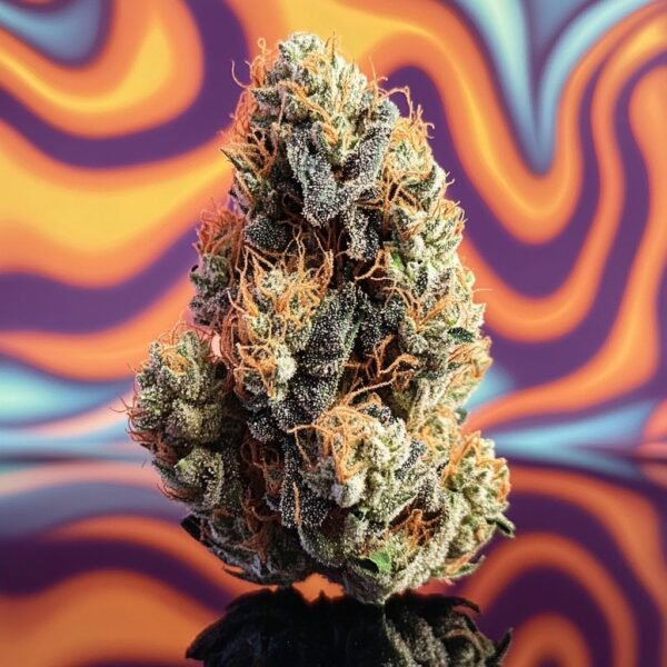 Ice Cream Cake SHAKE | Indica | 28% THCa